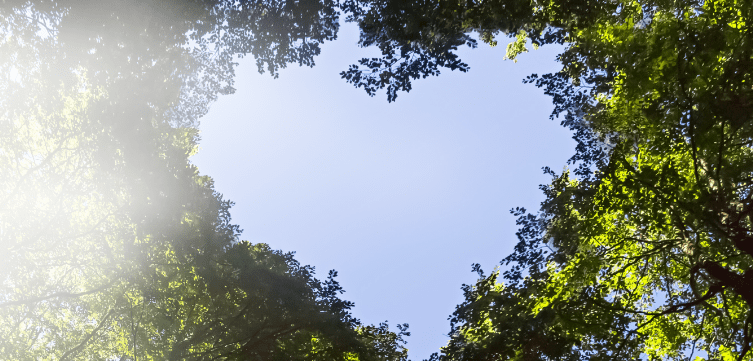 
  A heart-shaped forest with Dry Microfine Steam (DMS) emerging, symbolising Laurastar’s commitment to a sustainable future.
  