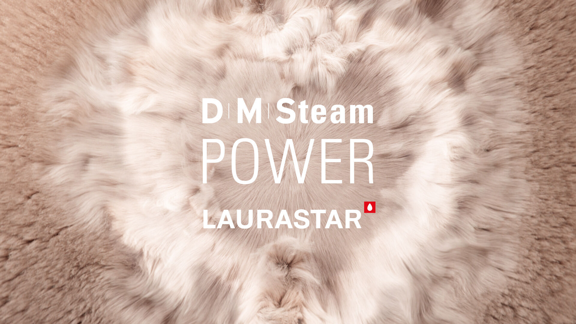 
                Laurastar powerful DMS deeply penetrates delicate materials
                