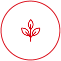 
                            Pictogram of a leaf representing the natural alternative that Laurastar offers.
                            