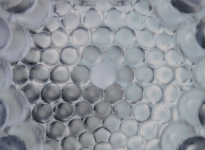 
                    Powerful molecules from Dry Microfine Steam
                    