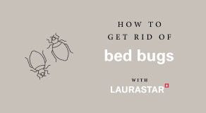 How to Get Rid of Bed Bugs