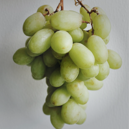 ultimate-gift-guide_sponsor-vineyard