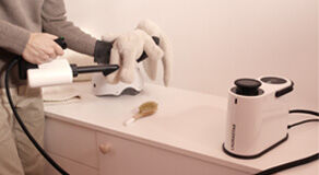 How to effectively eliminate lice?