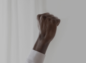 
                    Point raised as a sign of victory for the many design awards Laurastar products have won.
                    